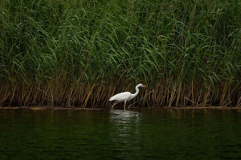 Rejs Fundacji 2025 - Galeria