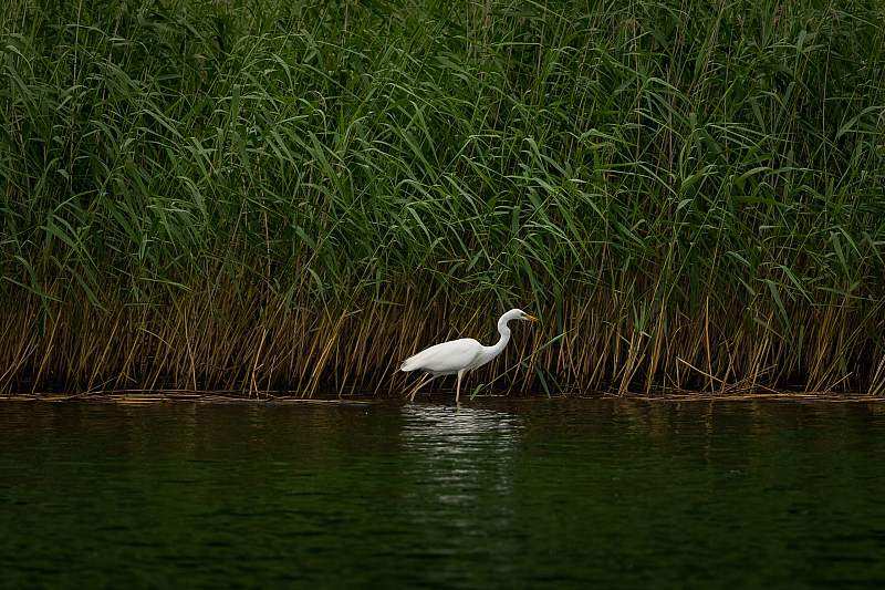Rejs Fundacji 2025 - Galeria
